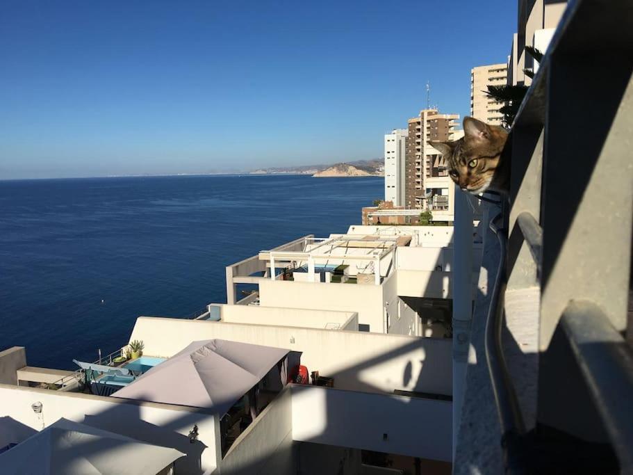 Piso En La Primera Linea Del Mar Con 2 Dormitorios Benidorm Kültér fotó